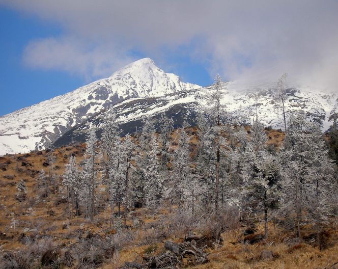 Krywań, Tatry