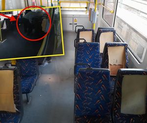 Oskalpowali siedzenia w tramwaju. Zajęło im to niespełna minutę!