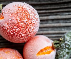 Mrożenie pomidorów: jak zamrozić pomidory na zimę i jak je potem rozmrażać?