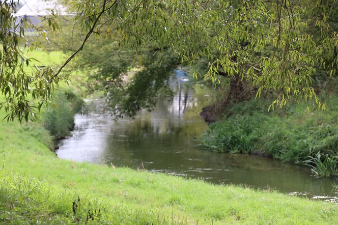 Jesienna odsłona terenów nad Bystrzycą w Lublinie. Tak się prezentuje w październiku