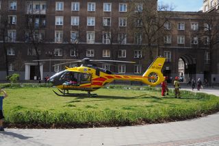 Autobus miejski wbił się w drzewo! Kilkanaście osób rannych