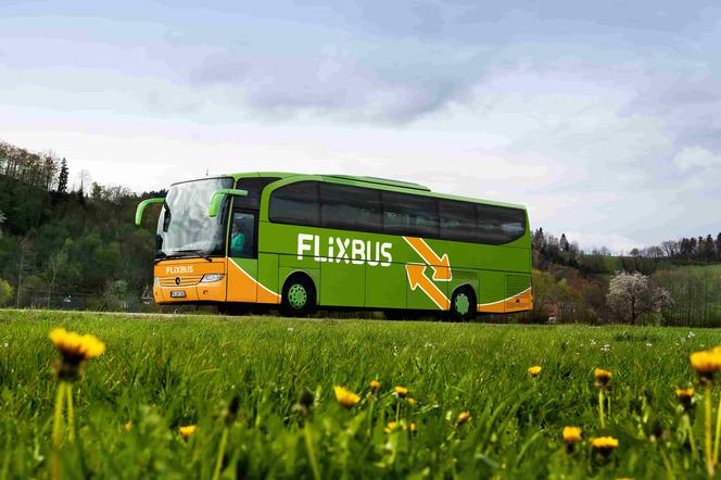 Suwałki, Augustów i Białystok dołączają do zielonej siatki połączeń FlixBusa