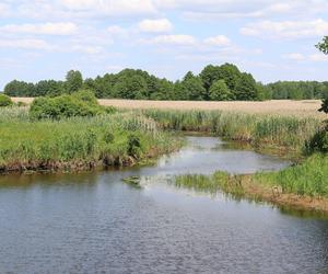 Narwiański Park Narodowy