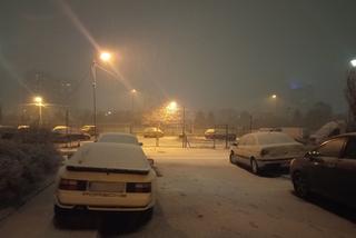 Śnieżyca w Warszawie 28.01.2021
