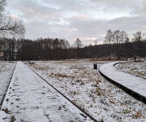 Nałęczów - Park Zdrojowy zimą