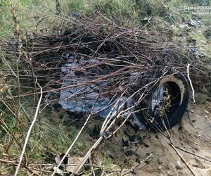 Chcieli być królami życia.  Karierę zaczęli od kradzieży skrzynek z butelkami po piwach