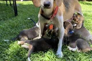  Meghan Markle w żałobie. Wypłakałam tyle łez. Pisze o prysznicu, a ludzie nie mają litości