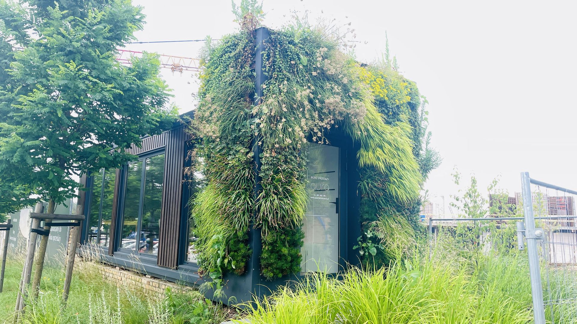 Aura w Poznaniu - aparthotel i zielona fasada