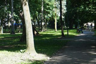 Park Miejski im. S. Staszica w Kielcach