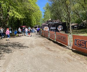   Festiwal Smaków Food Trucków w Olsztynie 2025. Zobacz zdjęcia!
