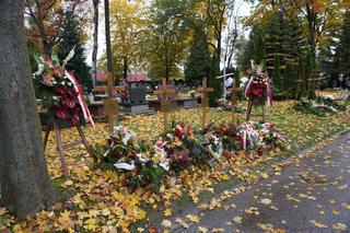 Wszystkich Świętych 2023. Zobacz, jak prezentuje się łódzki cmentarz „Doły” [ZDJĘCIA]