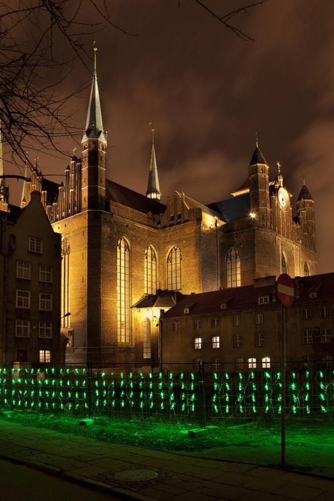 Festiwal NARRACJE