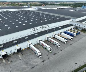 Największa fabryka IKEA na świecie jest w Polsce. Jak wygląda w środku? 