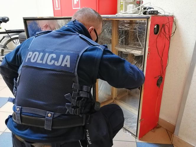 Nastolatek uprawiał trawkę w garażu 