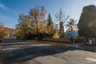 Nowe życie wrocławskiego igloo: rozmowa ze Zbigniewem Maćkowem