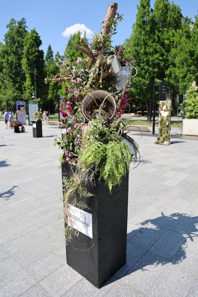 Weekend z florystyką w Lublinie. Zobacz imponujące roślinne instalacje w centrum miasta!