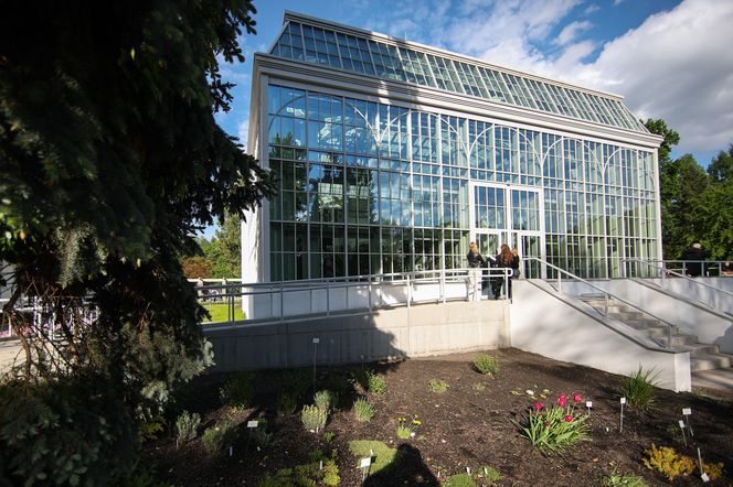 Nowa oranżeria w Ogrodzie Botanicznym UJ. Zastąpiła poprzedniczkę z XIX wieku 