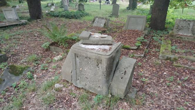 Opuszczony cmentarz w Opolu. Tu zatrzymał się czas