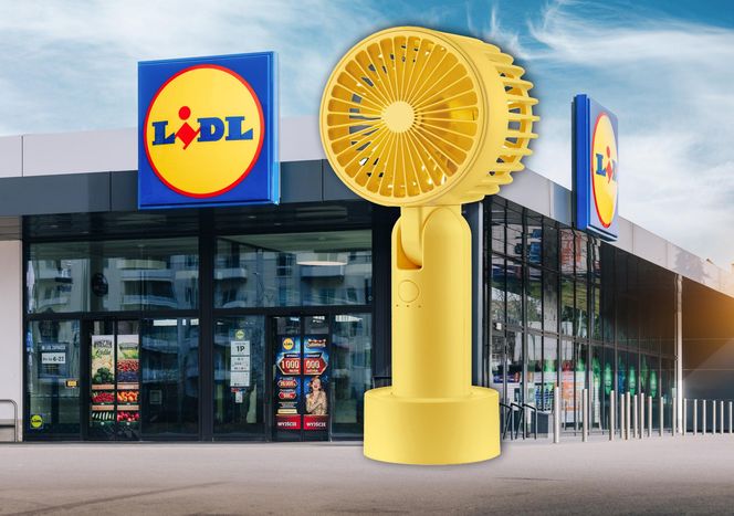 Promocje na upały w Lidlu
