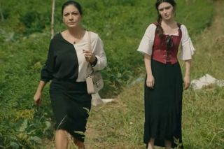 Wichrowe wzgórze odc. 234, 235, 236, 237, 238. Streszczenia 11-15 sierpnia