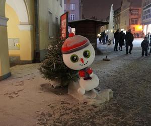 Świąteczne iluminacje w Olsztynie zachwycają. Prawdziwą „gwiazdą” jest choinka na starówce [ZDJĘCIA]