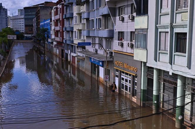 Koszmarna powódź. Po zalanych ulicach pływają piranie i kajmany. Ludzie w panice