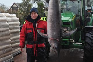 Największy miecznik w Bałtyku!