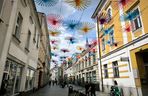Nowe ozdoby nad ulicami w centrum Leszna 