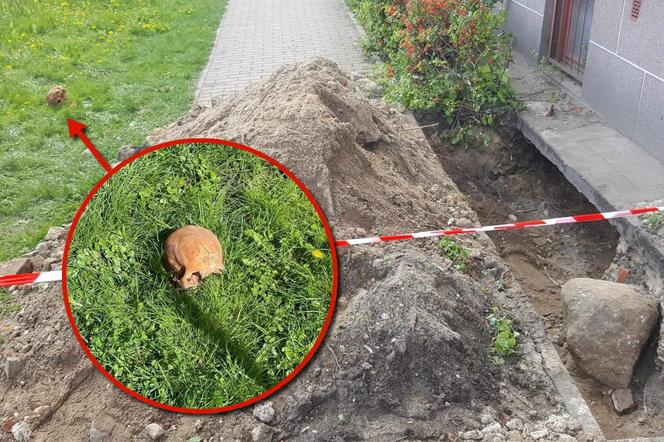 Makabryczne odkrycie w centrum Szczecinka. W wykopie była ludzka czaszka!