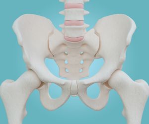 Miednica - anatomia, funkcje, choroby