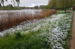 Olsztyn pod śniegiem, czyli jak zima potrafi zaskoczyć w maju!