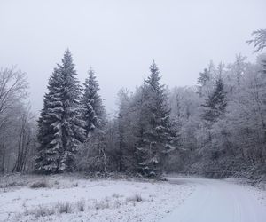 Zima w Bieszczadach 