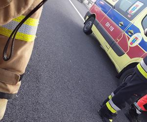 Śmiertelny wypadek na A1 pod Łodzią! 43-latek z busa nie żyje, kilka osób rannych [ZDJĘCIA].