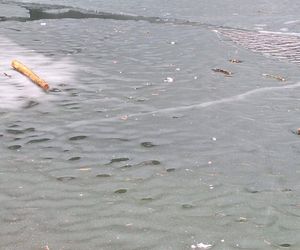Morskie Oko zaśmiecone jak nigdy. To sprawka turystów. TPN opublikował zdjęcia.