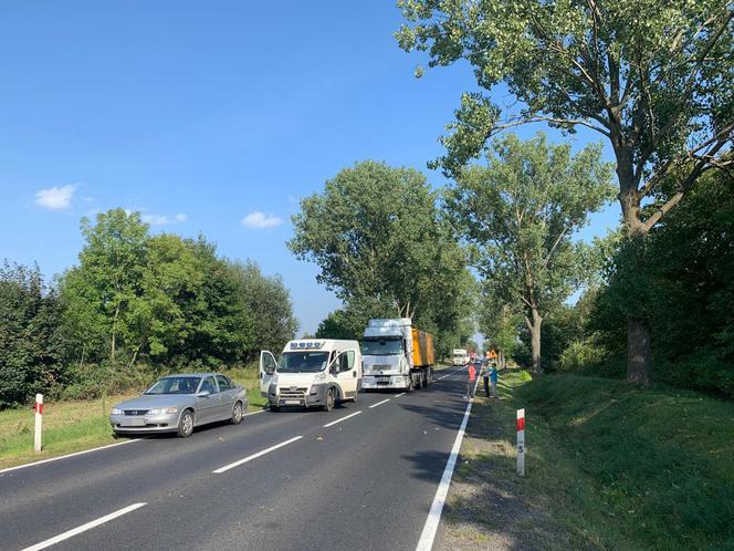 Wypadek pod Gnieznem. Motocyklista reanimowany na drodze