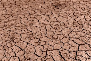 Ten kolor będzie rządził w 2025 roku. Mocha Mousse będzie totalnym hitem!