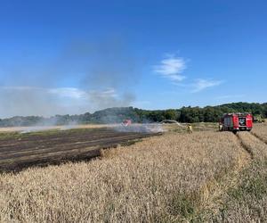 Dwa pożary zboża oraz rżyska w powiecie braniewskim