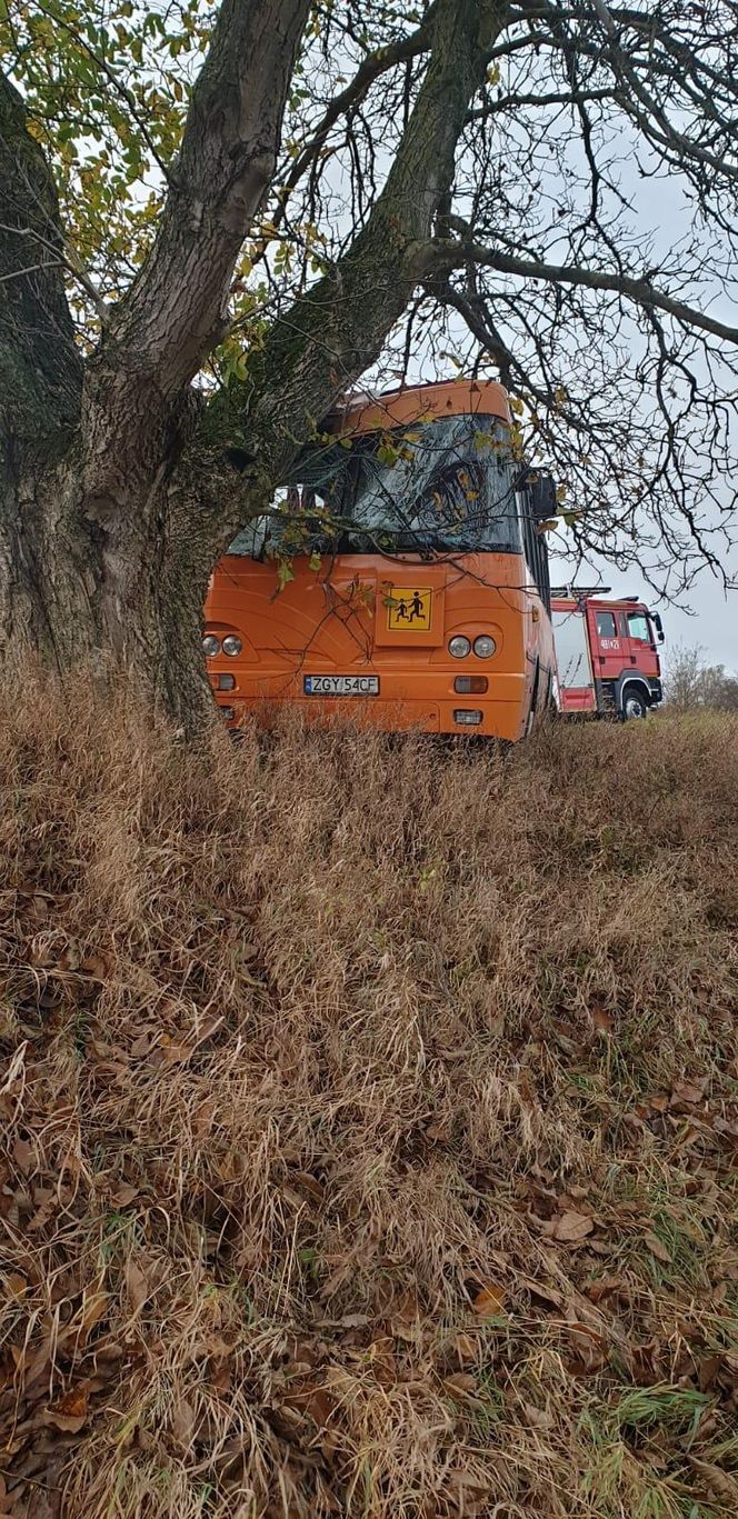 Wypadek autobusu szkolnego