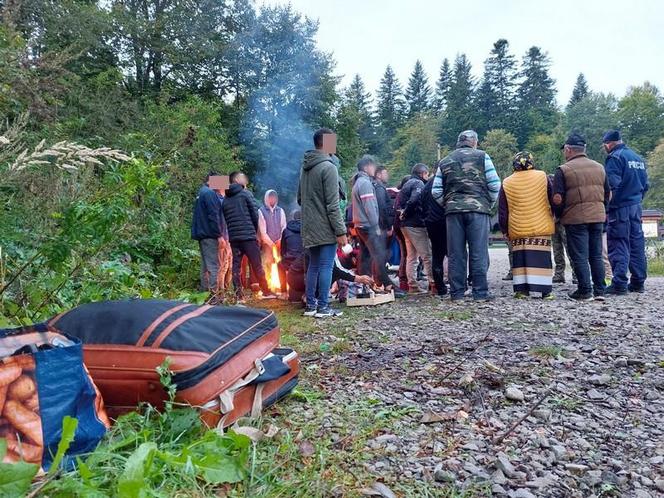 Najazd rumuńskich grzybiarzy na Podkarpaciu