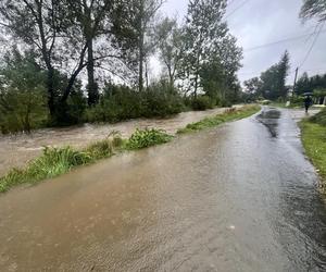 Przekroczone stany alarmowe na kilku rzekach, strażacy układają worki z piaskiem. Relacja live