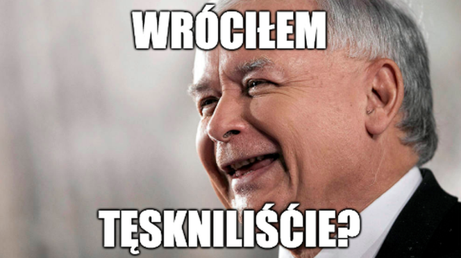 Internet śmieje się w wyborów