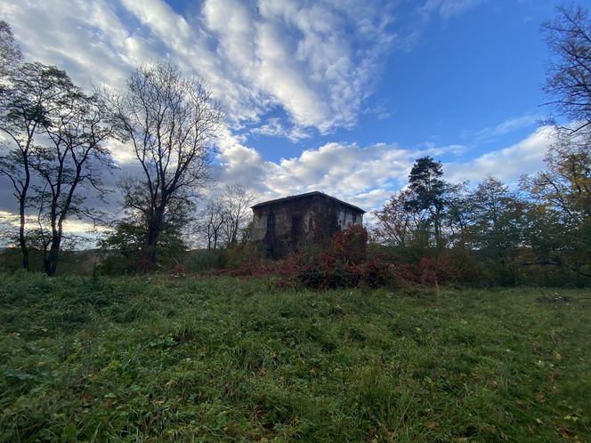 Zamek w Dąbrówce Starzeńskiej