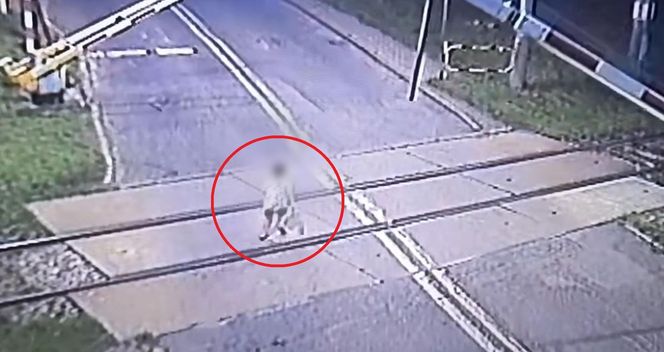 Mikołów: Policjanci w ostatniej chwili uratowali 6-latka. Chłopiec bawił się na torach 