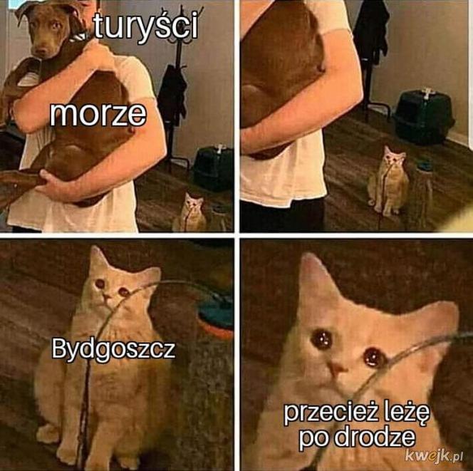 Internet śmieje się z bydgoszczan. Zobaczcie najciekawsze memy o Bydgoszczy