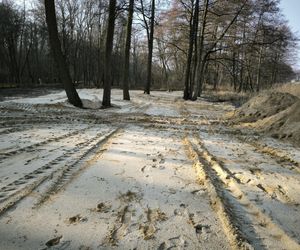 Osieczna przygotowuje plaże na Stanisławówce 