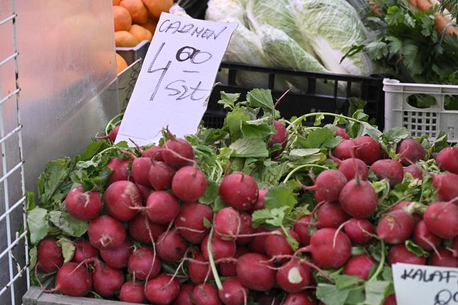  Ceny nowalijek na warszawskich bazarach szokują. Byliśmy i sprawdziliśmy ile trzeba zapłacić