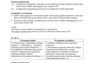 Matura 2018 z biologii [ARKUSZE CKE, ODPOWIEDZI]