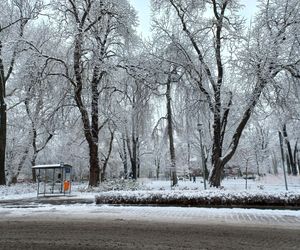 Leszno wygląda bajkowo! Na walentynki sypnęło śniegiem