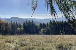 Jesień w Beskidzie Sądeckim 