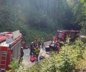 Śmiertelny wypadek pod Pruszczem Gdańskim. Zginęły dwie osoby